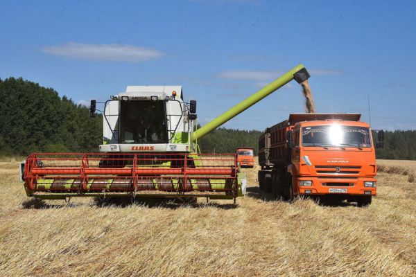 Свердловским аграриям  компенсируют половину затрат на производство зерна