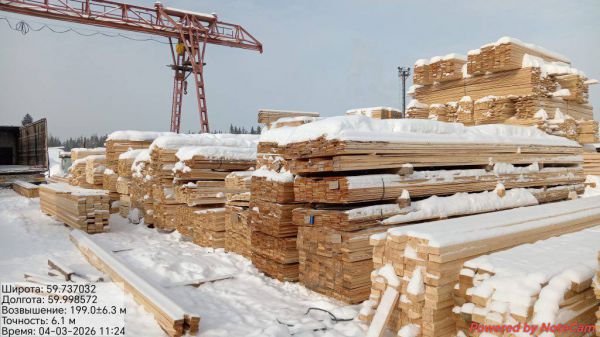 Почти 2,3 тысячи кубометров леса проверили инспекторы Россельхознадзора в Карпинске и Краснотурьинске