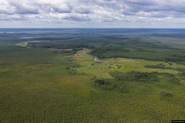 По следу молнии. Система грозопеленгации защитит свердловские леса от пожаров