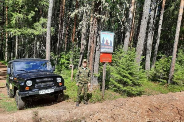 В выходные на Среднем Урале пройдут профилактические противопожарные рейды