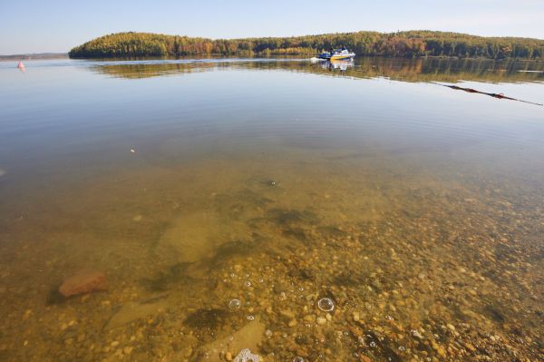 В Свердловской области на берегу реки нашли тела двух пенсионеров