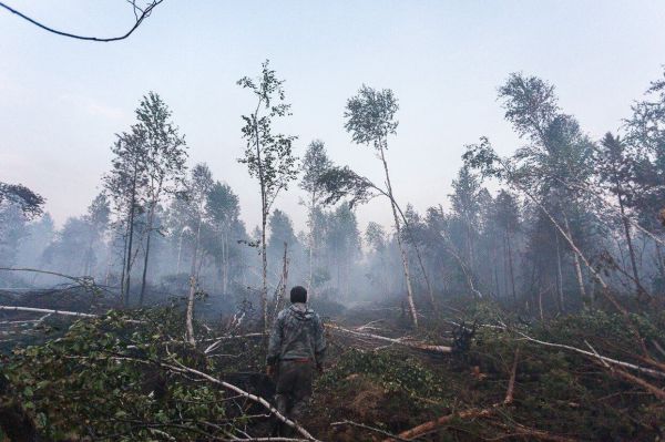 В Свердловской области за сутки ликвидировали девять лесных пожаров