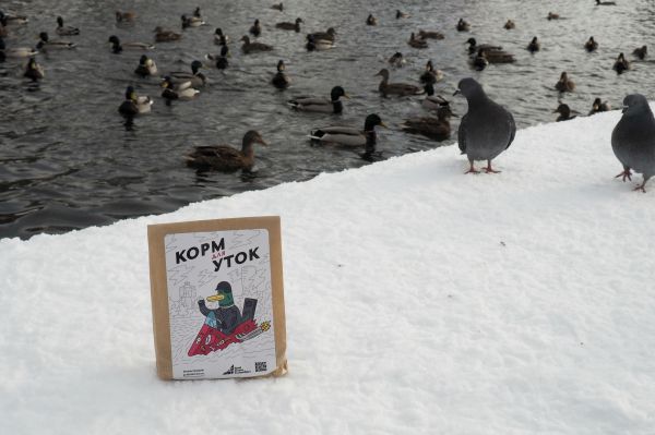 В Водонапорной башне на Плотинке появился корм для городских уток