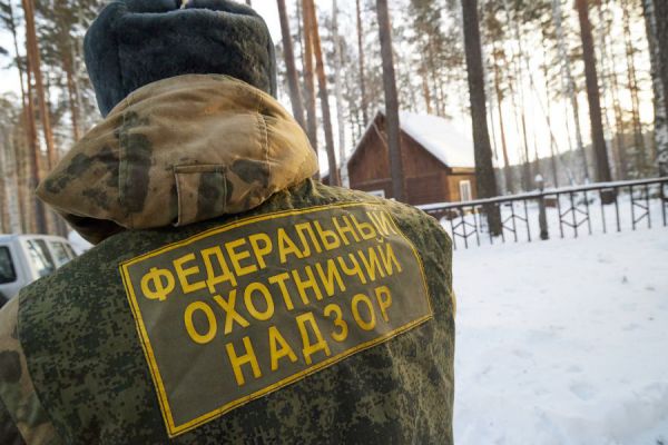 В Свердловской области подсчитают число диких животных