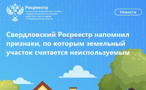 Мусор, сорняки и разрушенный дом: как понять, что ваш дачный участок признают неиспользуемым
