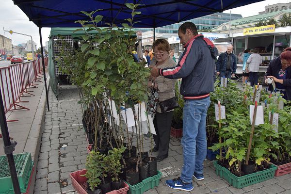 В Екатеринбурге пройдет выставка достижений уральских ученых в садоводстве и овощеводстве