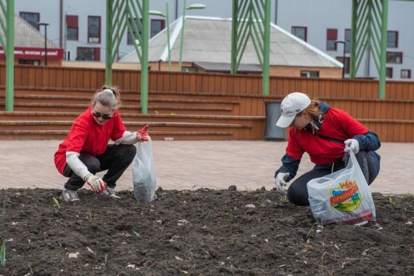 Букет к юбилею. В честь 325-летия Каменска-Уральского  город украсят 325 клумб