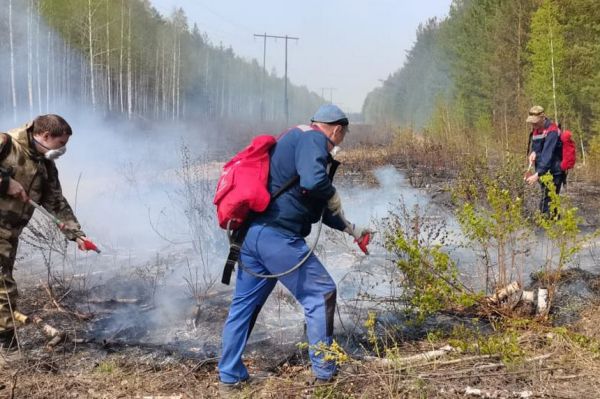 В Свердловской области за сутки потушили 10 лесных пожаров