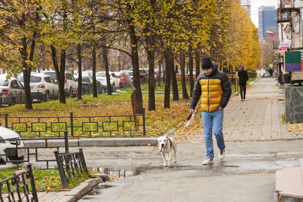 Свердловские синоптики объявили штормовое предупреждение из-за резкого похолодания