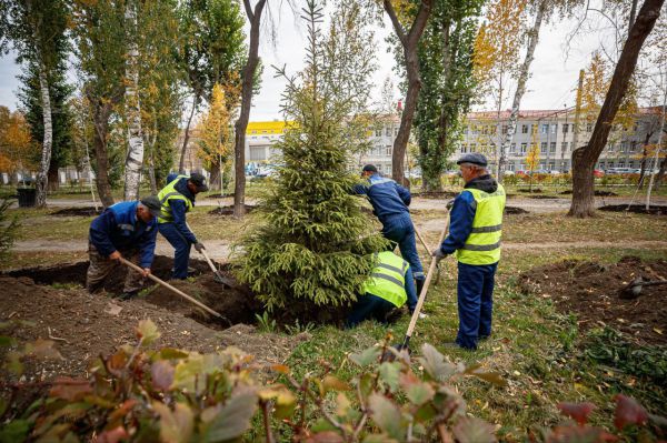 За год в Екатеринбурге посадили более 3,2 тысячи новых деревьев