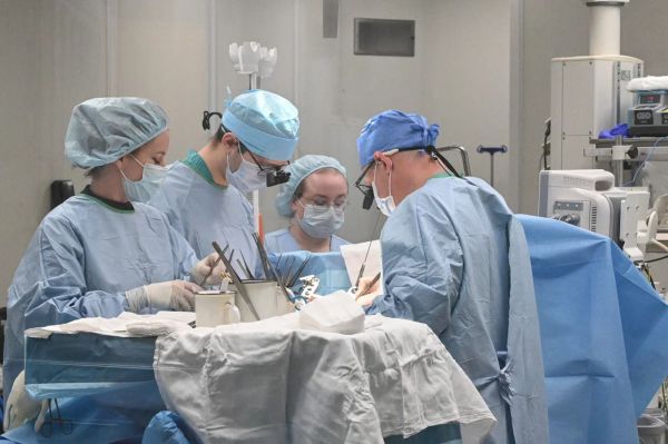 Екатеринбургские врачи спасли мужчину с огнестрельным ранением в сердце