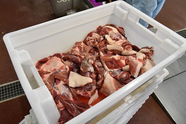 В Свердловской области нашли предприятие-фантом, производящее мясо 