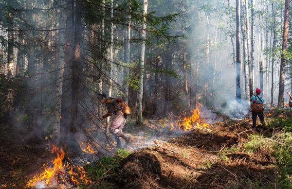 Глава Рослесхоза спрогнозировал высокий риск пожаров на Среднем Урале