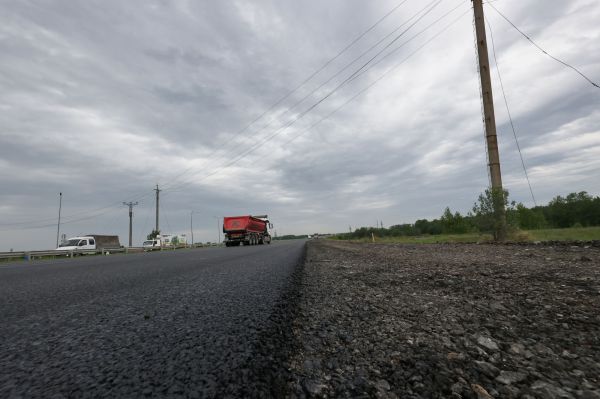 В Свердловской области лоси угрожают водителям