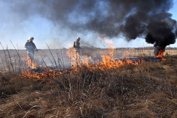 Торфяной пожар в Шабровском ликвидирован, огонь в лесах под Тугулымом локализован