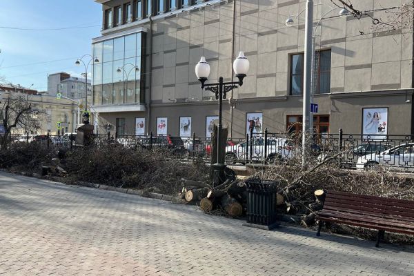 В Екатеринбурге вырубили деревья на аллее у театра музыкальной комедии