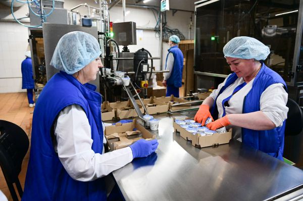 Свердловская область вошла в топ-15 регионов России по перспективности трудоустройства