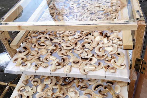 Уральские ученые создали новую продуктовую сушилку, позволяющую аграрием сэкономить деньги