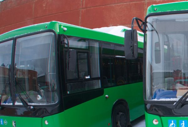 В столицу Урала прибыли новые низкопольные автобусы