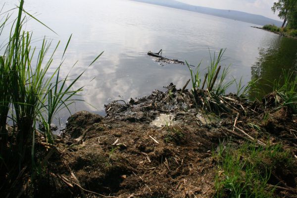 Черноисточинский пруд перестал поить Нижний Тагил