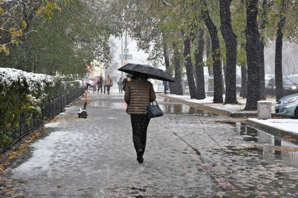 Мокрый снег с дождем пройдут в Екатеринбурге