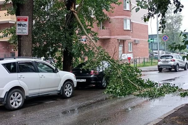 Фоторепортаж: последствия ночного урагана в Екатеринбурге