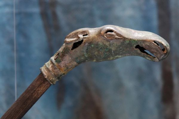 УрФУ передал Сургуту 100 тысяч археологических находок