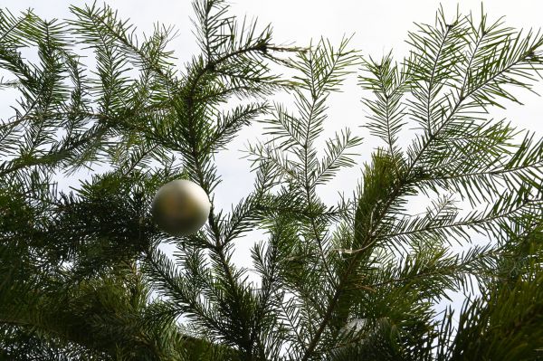 9 декабря на крайнем севере Свердловской области ожидается сильный мороз. Рекомендации спасателей