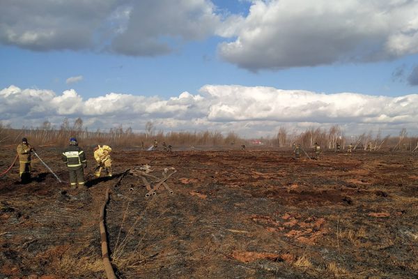 Спасатели потушили торфяник в Солнечном, который мучил екатеринбуржцев больше двух недель