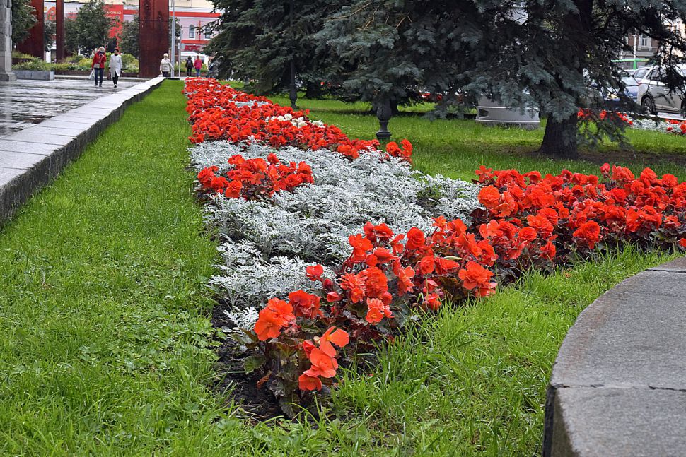 Клумба екб. Клумбы Екатеринбурга. Городская клумба Екатеринбург. Цветники и клумбы Екатеринбург.