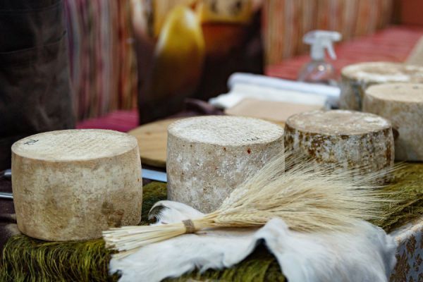 В Екатеринбурге изъяли из оборота пять тонн фальсифицированного сыра