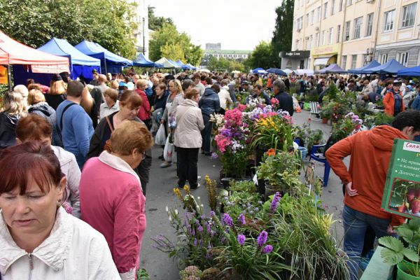 Эксперты оценили качество саженцев, реализуемых на осенних ярмарках