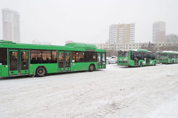В мэрии Екатеринбурга выбрали маршруты для новых низкопольных автобусов