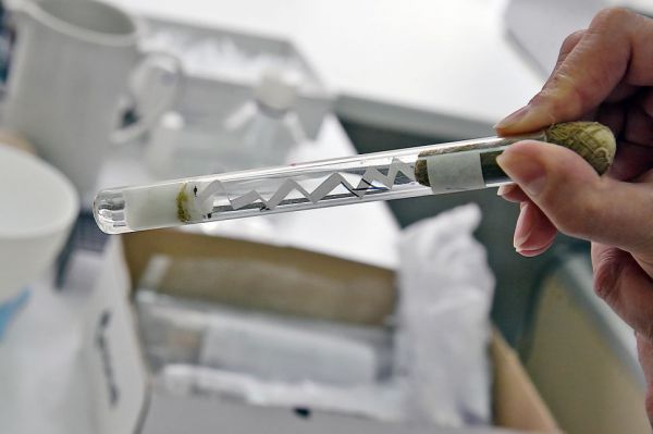 Школьники Каменска-Уральского примерили на себя роль сыщиков