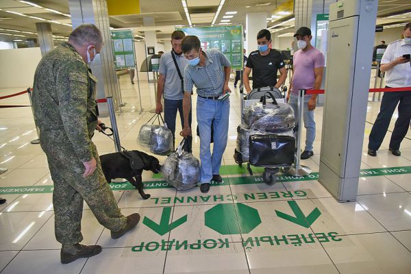 В Кольцово у пассажира из Пекина обнаружили партию псевдолюксовых сумочек