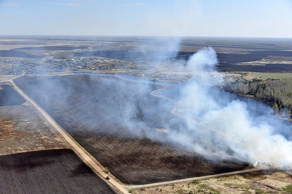 Свердловские спасатели потушили торфяной пожар у деревни Большое Седельниково