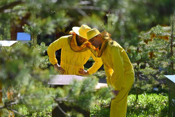 Уральские пчелки собрали богатый урожай наград на Russian Traveler Awards