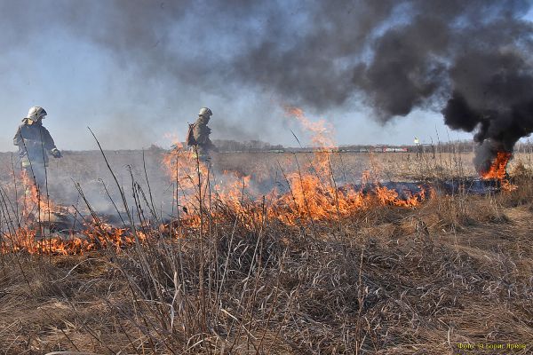 В области потушены все природные пожары