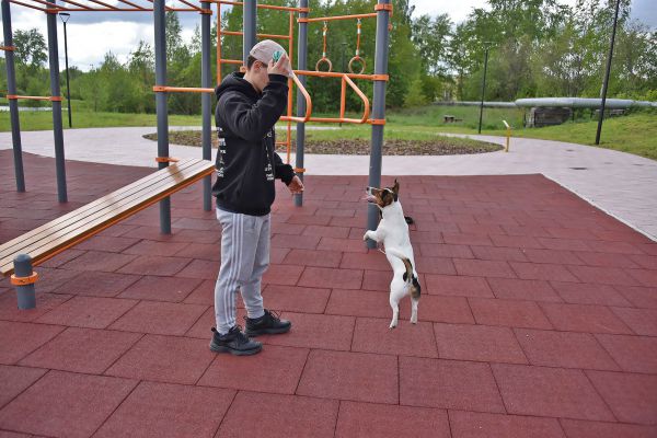 Муниципалитеты Среднего Урала посоревнуются в активности голосования за объекты благоустройства