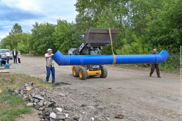 В Нижнем Тагиле строители пересадят в парк мешающие им деревья