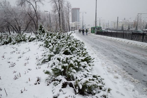 Синоптик рассказал, сколько снега в Екатеринбурге выпало за ночь