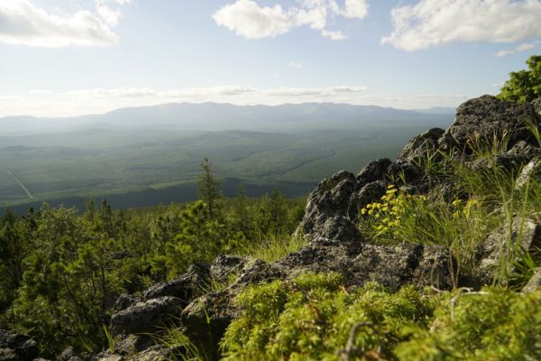 Смогли сберечь. Эталонные участки тайги сохранились в заповеднике «Денежкин Камень»