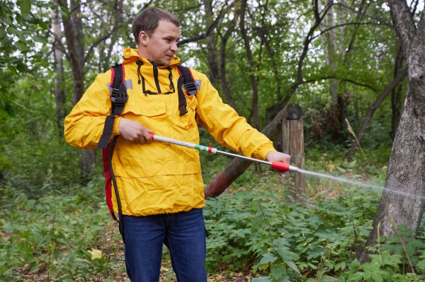 Свердловские власти направили более миллиона рублей на выплаты волонтерам-огнеборцам