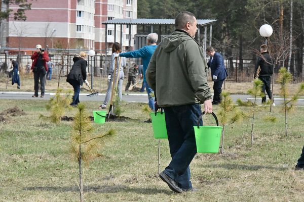 Сиреневая и березовая: в честь Дня Победы в Екатеринбурге  появились две новые аллеи