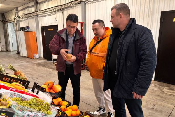 Более 20 видов фруктов и овощей поставят в Свердловскую область из Китая