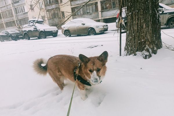 Свердловчане поделились фотографиями заснеженных улиц