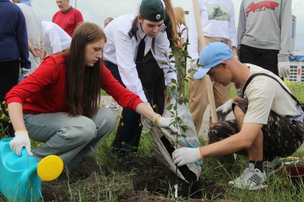 В Каменске-Уральском выпускники посадили яблони на Аллее медалистов