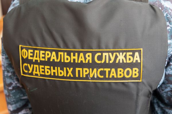 В стране заработал реестр злостных  алиментщиков