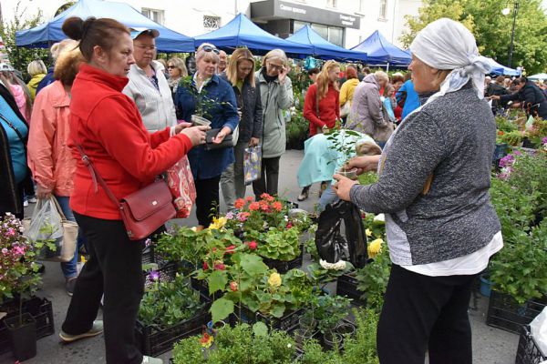 В центре Екатеринбурга из-за ярмарки снова закроют парковку