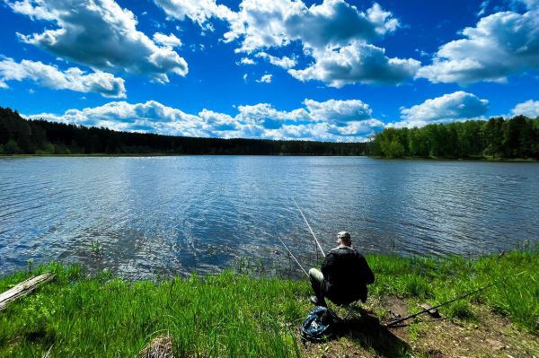 В Волчихинском водохранилище появился сазан